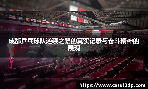 成都乒乓球队逆袭之路的真实记录与奋斗精神的展现