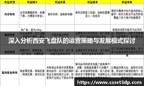 深入分析西安飞盘队的运营策略与发展模式探讨