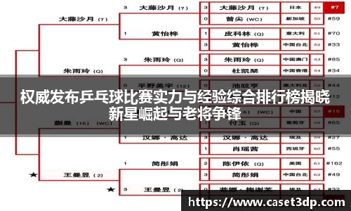 权威发布乒乓球比赛实力与经验综合排行榜揭晓新星崛起与老将争锋