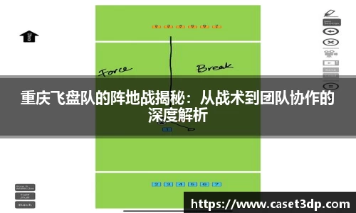重庆飞盘队的阵地战揭秘：从战术到团队协作的深度解析