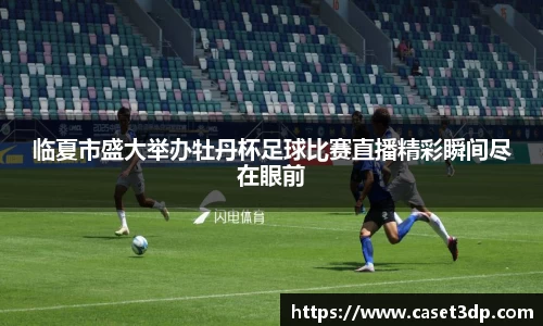 临夏市盛大举办牡丹杯足球比赛直播精彩瞬间尽在眼前